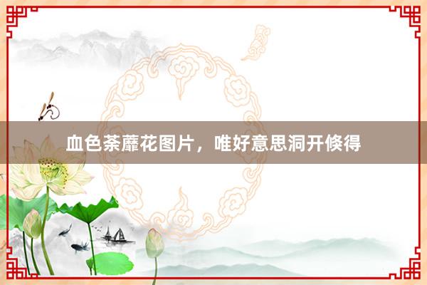 血色荼蘼花图片，唯好意思洞开倏得