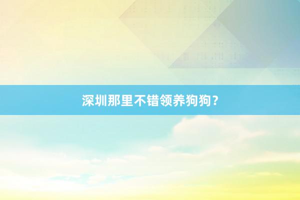 深圳那里不错领养狗狗？