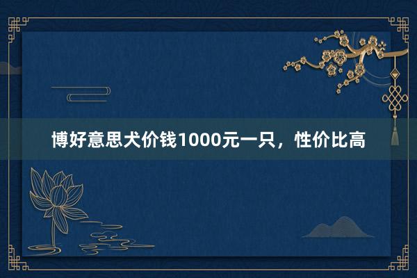 博好意思犬价钱1000元一只，性价比高