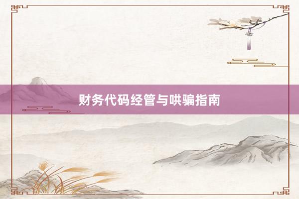 财务代码经管与哄骗指南